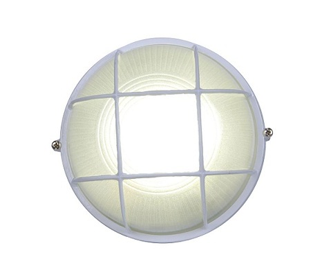 Светодиодный светильник Леда-2-С-10